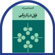 فیل در تاریکی