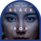 26-the black box diaries