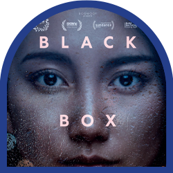 26-the black box diaries