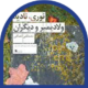 40- نوری نادیا ولادیمیر و دیگران
